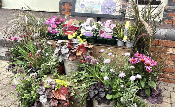 Heart of the Shires garden business